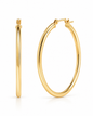 CLASSIC GOLD HOOPS